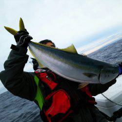 ブルドック 釣果