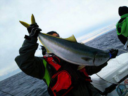 ブルドック 釣果