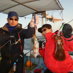 きずなまりん 釣果