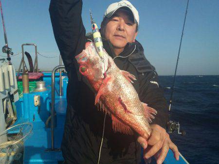 丸万釣船 釣果