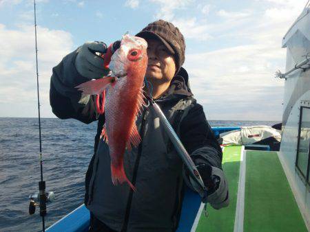 丸万釣船 釣果