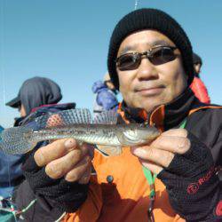 天祐丸 釣果