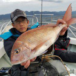 シーライオン 釣果