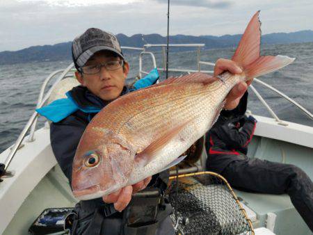 シーライオン 釣果