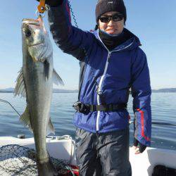 海龍丸（島根） 釣果