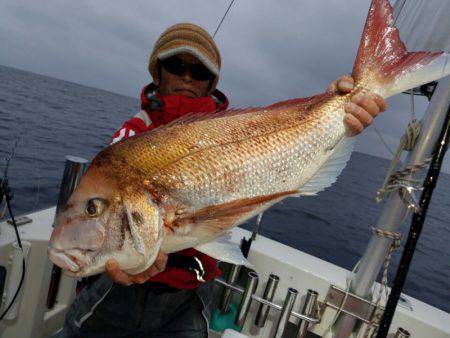 シーライオン 釣果