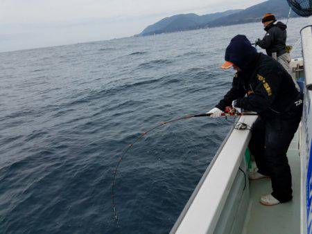 シーライオン 釣果