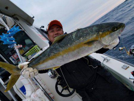 シーライオン 釣果