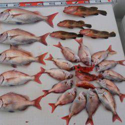 遊漁船 家入 釣果