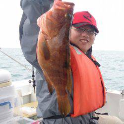 遊漁船 家入 釣果