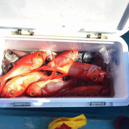 隆豊丸 釣果
