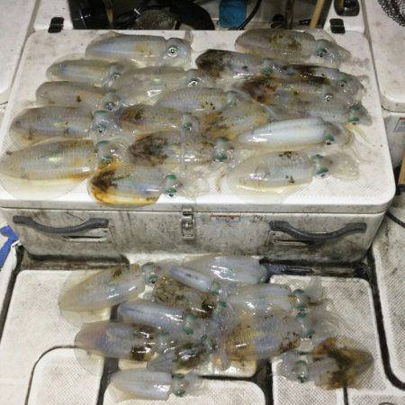 Monster Rush! 釣果