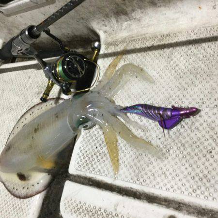 Monster Rush! 釣果