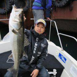 Chase(チェイス) 釣果