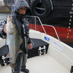 Chase(チェイス) 釣果