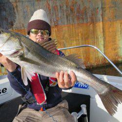 Chase（チェイス） 釣果