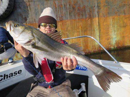 Chase（チェイス） 釣果