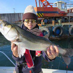 Chase（チェイス） 釣果