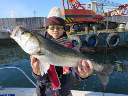 Chase（チェイス） 釣果