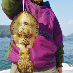 マリンガイド福丸 釣果