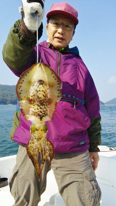 マリンガイド福丸 釣果