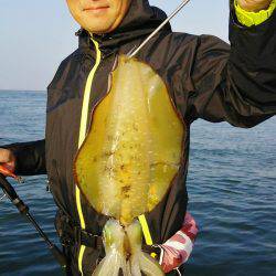 マリンガイド福丸 釣果