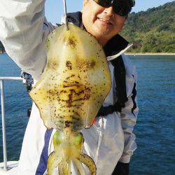 マリンガイド福丸 釣果