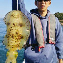 マリンガイド福丸 釣果