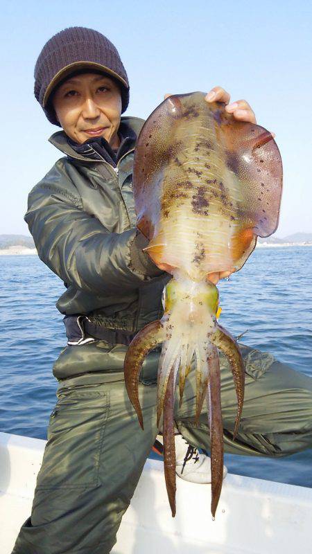 マリンガイド福丸 釣果