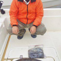 マリンガイド福丸 釣果