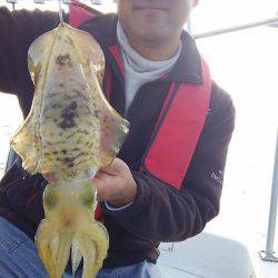 マリンガイド福丸 釣果