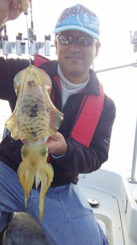 マリンガイド福丸 釣果