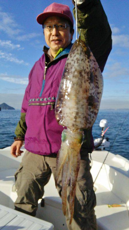 マリンガイド福丸 釣果