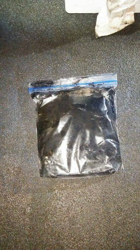 マリンガイド福丸 釣果