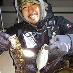 マリンガイド福丸 釣果