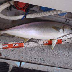 第二龍勢丸 釣果