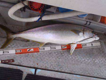 第二龍勢丸 釣果