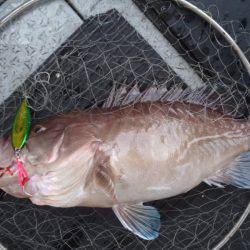 第二龍勢丸 釣果