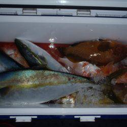 第二龍勢丸 釣果