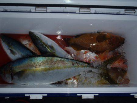 第二龍勢丸 釣果