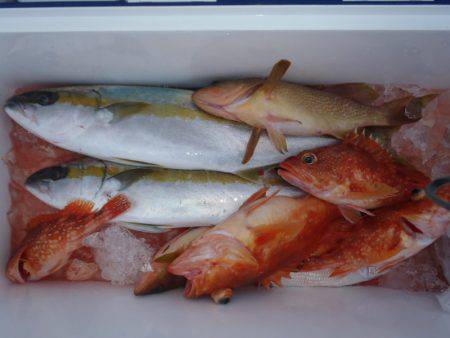 第二龍勢丸 釣果