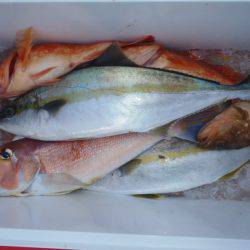 第二龍勢丸 釣果