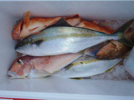 第二龍勢丸 釣果