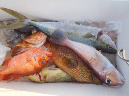 第二龍勢丸 釣果