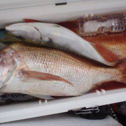 第二龍勢丸 釣果