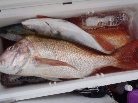 第二龍勢丸 釣果