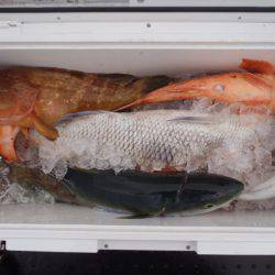 第二龍勢丸 釣果