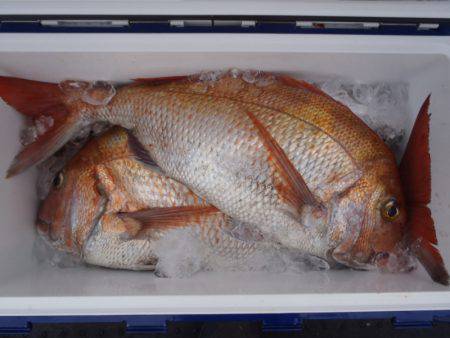 第二龍勢丸 釣果