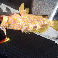 第二龍勢丸 釣果