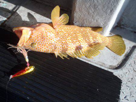 第二龍勢丸 釣果